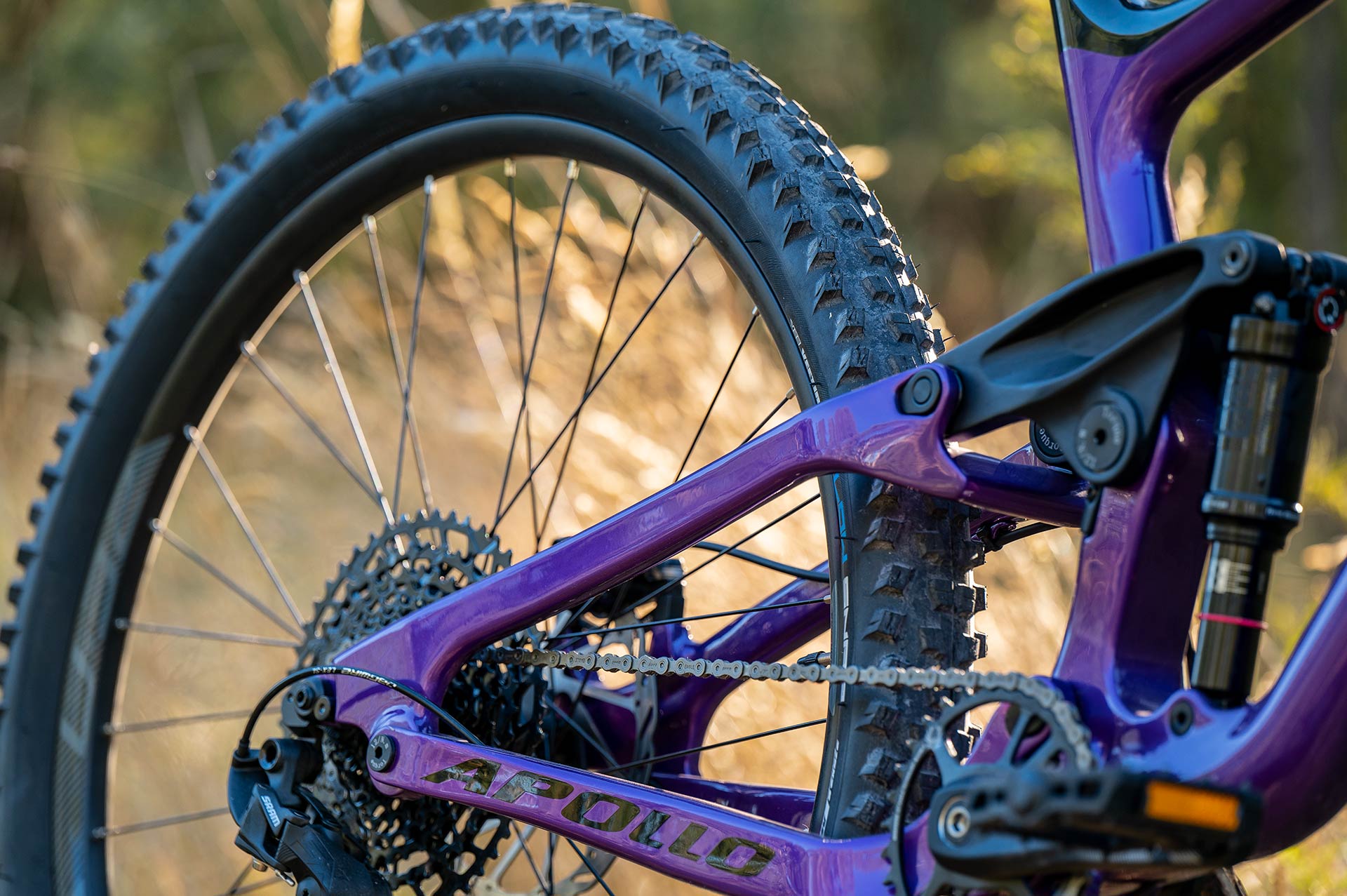 Apollo ridge mountain bike outlet